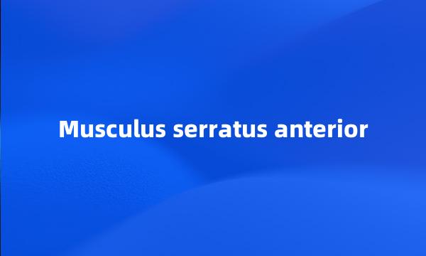 Musculus serratus anterior