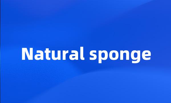 Natural sponge