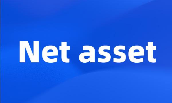 Net asset