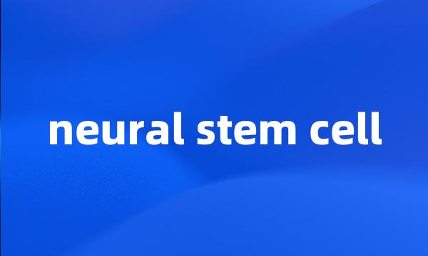 neural stem cell