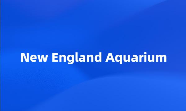 New England Aquarium