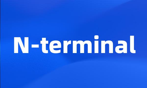 N-terminal