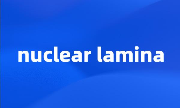 nuclear lamina