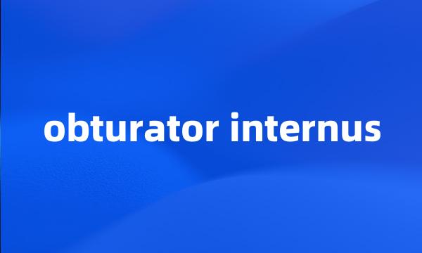 obturator internus