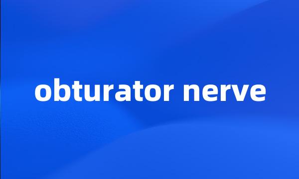 obturator nerve