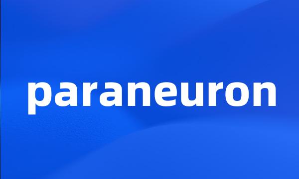 paraneuron