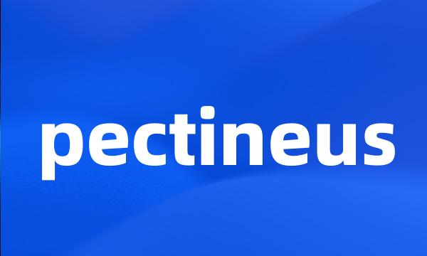 pectineus