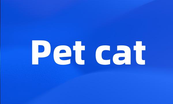 Pet cat