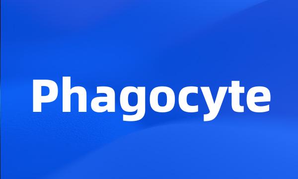 Phagocyte