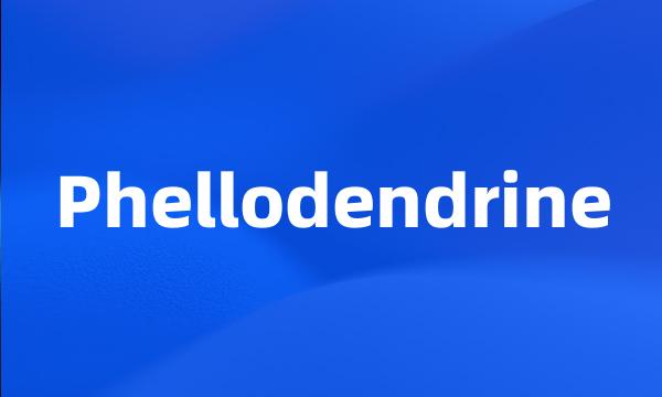 Phellodendrine