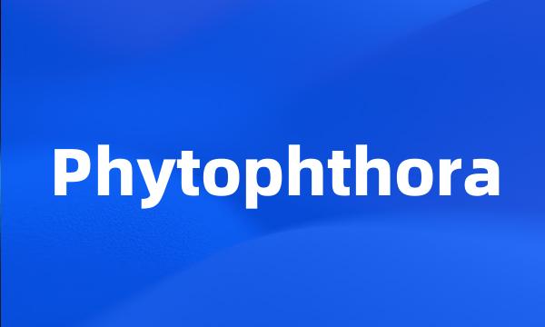 Phytophthora