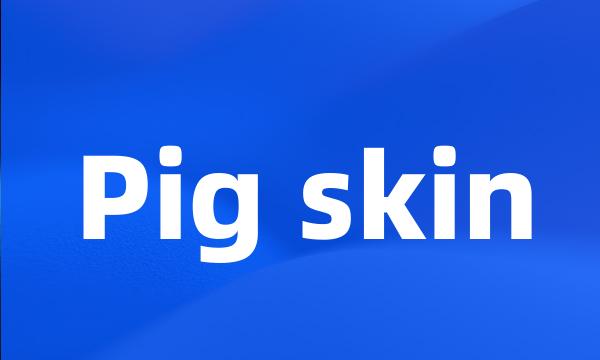 Pig skin