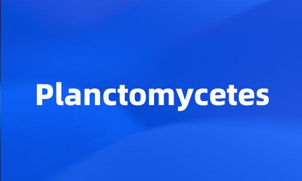 Planctomycetes