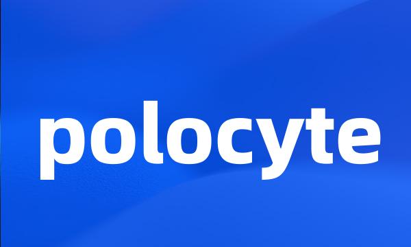 polocyte