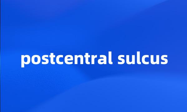 postcentral sulcus