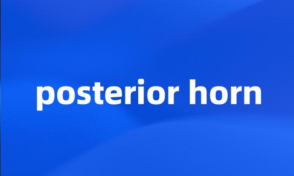 posterior horn