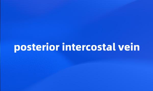 posterior intercostal vein