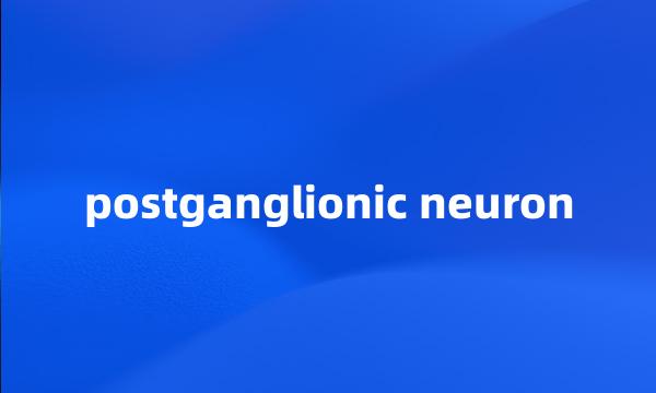 postganglionic neuron