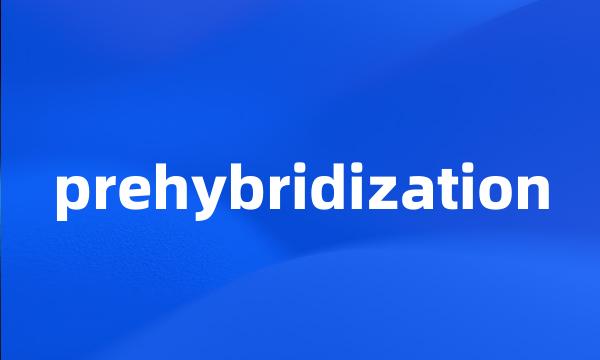 prehybridization