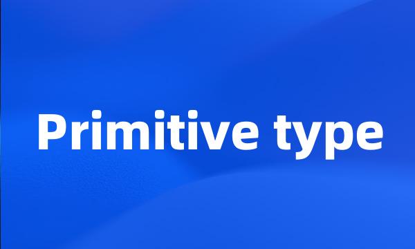 Primitive type