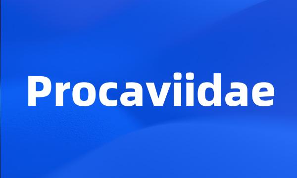 Procaviidae