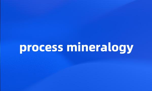 process mineralogy