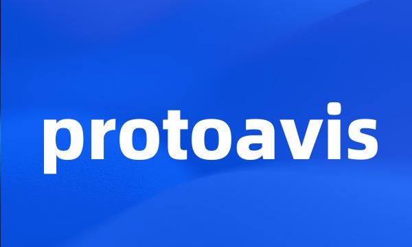 protoavis