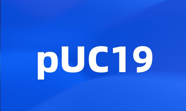 pUC19