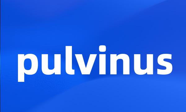 pulvinus