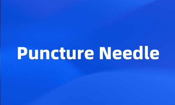 Puncture Needle