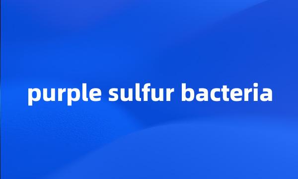 purple sulfur bacteria