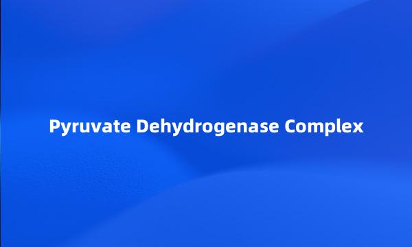 Pyruvate Dehydrogenase Complex