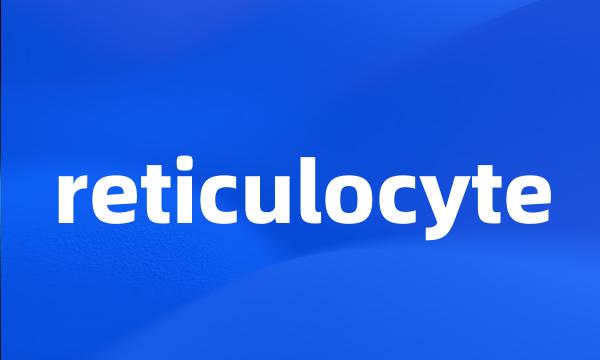 reticulocyte