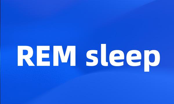 REM sleep