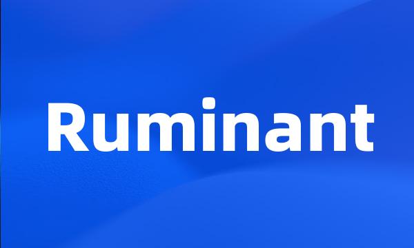 Ruminant