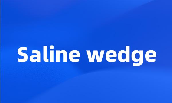 Saline wedge