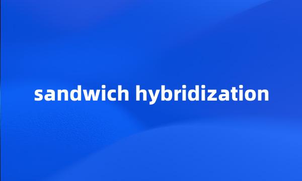 sandwich hybridization