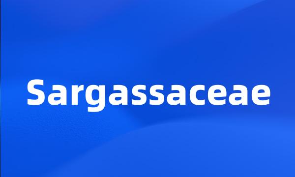 Sargassaceae