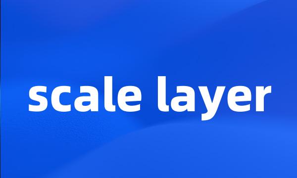 scale layer