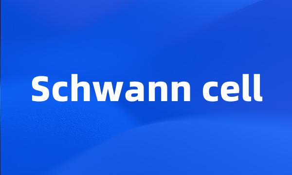 Schwann cell