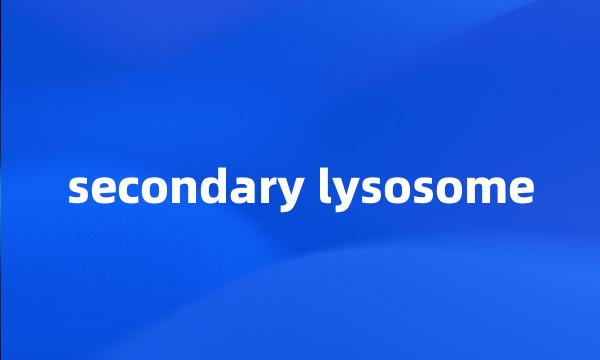 secondary lysosome