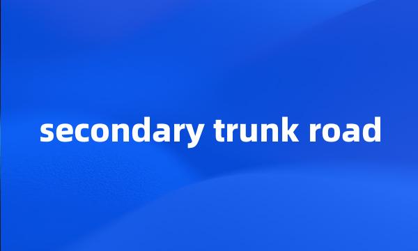 secondary trunk road