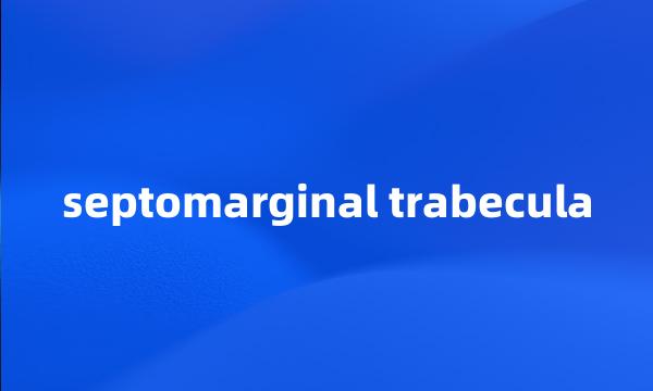 septomarginal trabecula