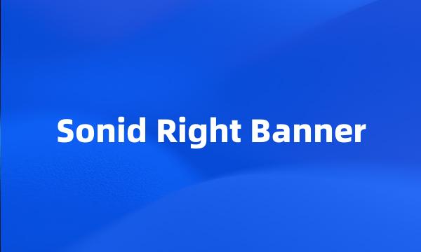 Sonid Right Banner