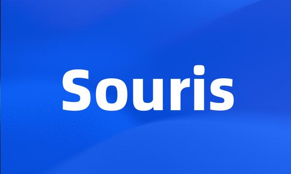 Souris