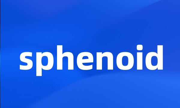 sphenoid