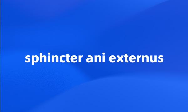 sphincter ani externus