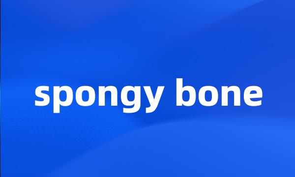 spongy bone