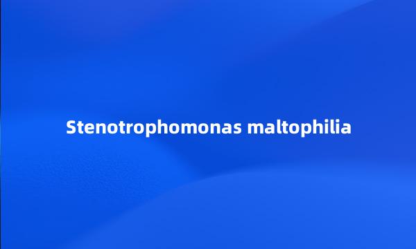 Stenotrophomonas maltophilia