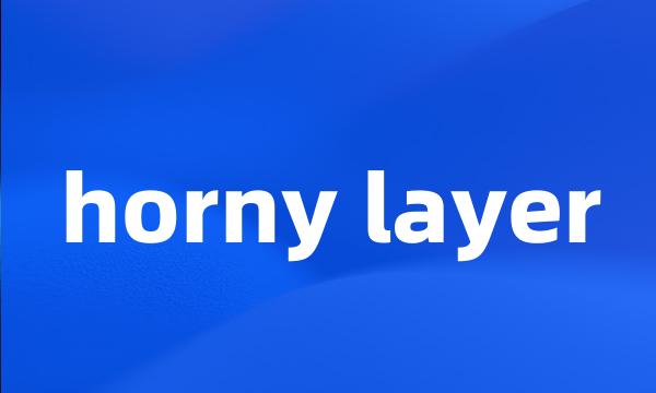 horny layer